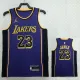 22/23 LAKERS JAMES #23 Purple Top Quality Hot Pressing NBA Jersey (Trapeze Edition)