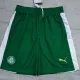 24 /25  Palmeiras Away Shorts pants