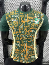 24/25 Cote d'Ivoire Green Special Edition  Player Version Soccer Jersey