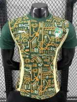 24/25 Cote d'Ivoire Green Special Edition  Player Version Soccer Jersey