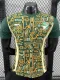 24/25 Cote d'Ivoire Green Special Edition  Player Version Soccer Jersey