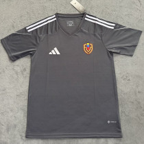 24/25 Venezuela Grey Fans Soccer Jersey(彩标）