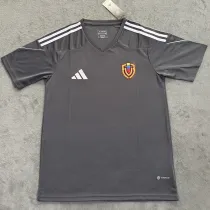 24/25 Venezuela Grey Fans Soccer Jersey(彩标）