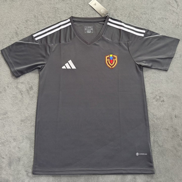 24/25 Venezuela Grey Fans Soccer Jersey(彩标）