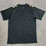 24/25 Werder Bremen Third Fans Soccer Jersey