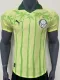 25/26 Palmeiras Yellow Special Edition  Player Version Soccer Jersey