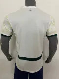 24/25 Cote d'Ivoire Away Fans Soccer Jersey