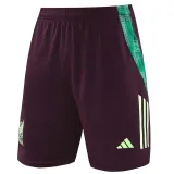 24/25  Mexico maroon Tank top and shorts suit