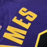 22/23 LAKERS JAMES #6 Purple Top Quality Hot Pressing NBA Jersey (Trapeze Edition)