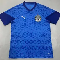 24/25 Palmeiras Blue Mesh Pattern Training shirts