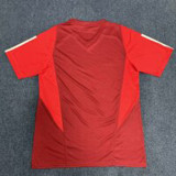 24/25  Internacional  bordeaux Training shirts（枣红）