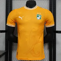 24/25 Cote d'Ivoire Orange Special Edition Player Version Soccer Jersey