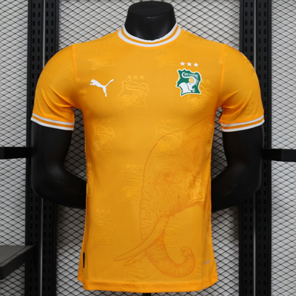 24/25 Cote d'Ivoire Orange Special Edition Player Version Soccer Jersey