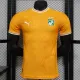 24/25 Cote d'Ivoire Orange Special Edition Player Version Soccer Jersey
