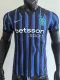 25/26  INT Blue Special Edition  Player Version Soccer Jersey(带广告）
