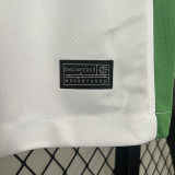 24/25 Nigeria Home Fans Soccer Jersey