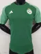 23/24 Algeria Green Special Edition Player Version Soccer Jersey (没图案)