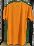 22/23 Real Betis Third Fans Soccer Jersey