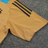 24/25 Argentina Mud Yellow Training Short Suit