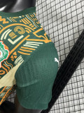 24/25 Cote d'Ivoire Green Special Edition  Player Version Soccer Jersey