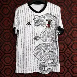24/25 Japan Ancient White Dragon Fans Soccer Jersey (白龙 )