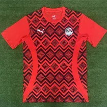24/25 Egypt Red Special Edition  Fans Soccer Jersey