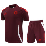 24/25 Bayern Deep Red Training Short Suit