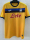 24/25 Atalanta Third Fans Soccer Jersey
