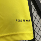 24/25 Flamengo Yellow Training shirts（圆领）