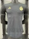 24/25  Algeria Grey Black Player Version Soccer Jersey（黄色队标）