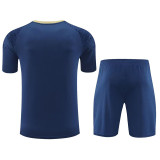 24/25  Palmeiras Blue Training Short Suit