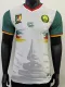 25/26 Cameroon Third  Player Version Soccer Jersey