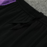 24/25 Germany Purple Training Short Suit