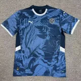 24/25 Paraguay Away  Fans Soccer Jersey