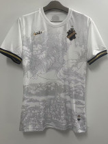 22/23 AIK 132th Anniversary Edition White Fans Soccer jersey