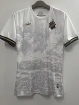22/23 AIK 132th Anniversary Edition White Fans Soccer jersey