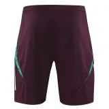 24/25  Mexico maroon Tank top and shorts suit