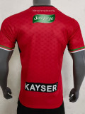 24/25 Palestino Deportivo Fourth Fans Soccer Jersey