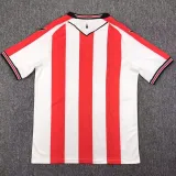 24/25 Stoke City Home Fans Soccer Jersey