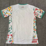 24/25 Palermo White  Fans Soccer Jersey