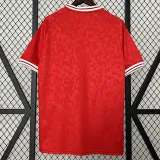 2024 Denmark Home Fans Soccer Jersey