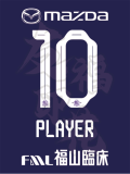 25/26 Sanfrecce Hiroshima Home Fans Soccer Jersey 广岛三箭