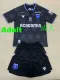 24/25 AJ Auxerre Away  Fans Jerseys成人套装