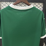 25/26  Palmeiras Home Fans Soccer Jersey
