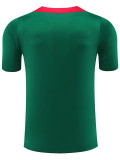 24/25  LIV Green Training Shirts(绿色红肩）