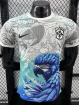 25/26 Brazil Eagle's Head Special Edition  Player Version Soccer Jersey