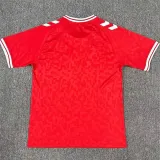 2024 Denmark Home Fans Soccer Jersey