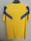 24/25 Tigres Yellow T-shirt