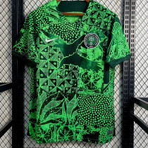 22/23 Nigeria Home Fans Soccer Jersey
