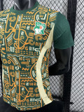24/25 Cote d'Ivoire Green Special Edition  Player Version Soccer Jersey